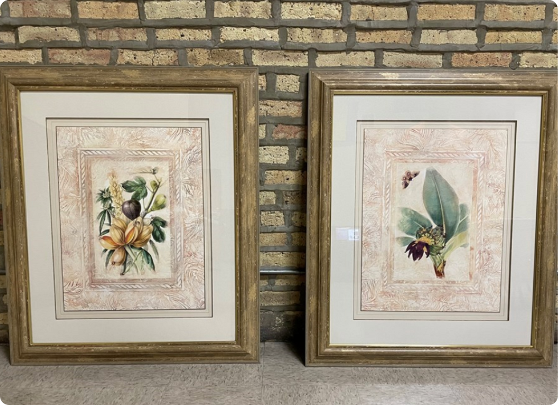 Tropical Fig & Banana Leaf Framed Prints